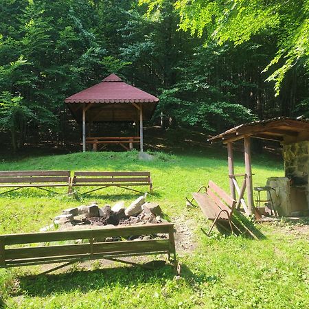 Apartament Widokowy Z Tarasem Bukowa Wisla Wisła Exterior foto